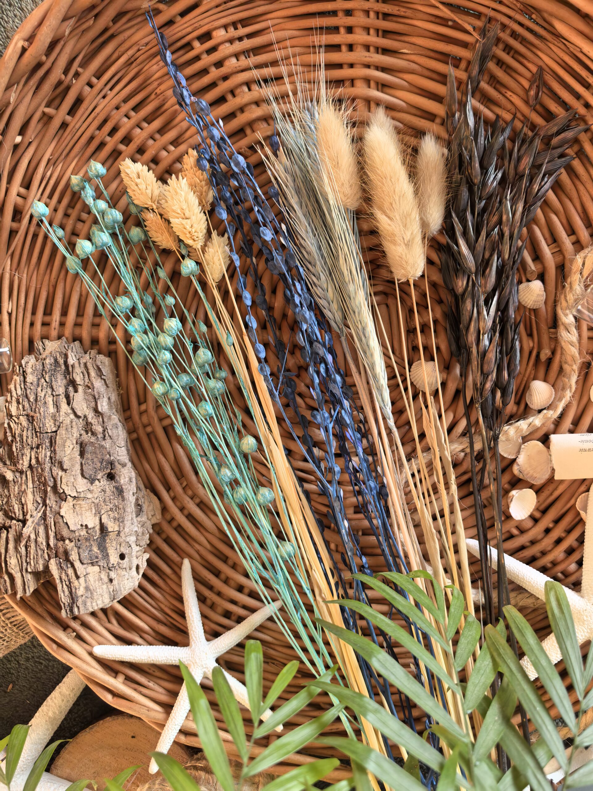 Zdjęcie zestawu roślin leżących wewnątrz kosza wiklinowego